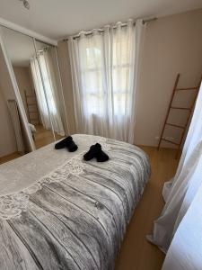 Appartements Espace detente ou de travail a 1h de Paris : photos des chambres