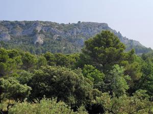 Maisons de vacances Gite Chrysalide du Luberon : photos des chambres