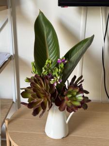 Investigator Beach Breeze Apartments U2