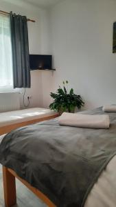 Casa Zsolt Vendégház