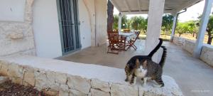 La Stradella Ostuni Country