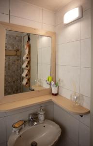 Zygardeli Eco-friendly Home 2025