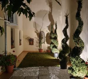 Garden Oasis Residence