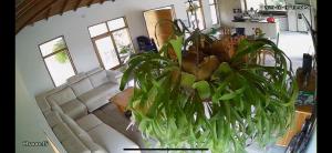 El Encanto de las Aguas