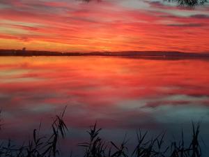 Piscine, 3 chbs, terrasse, vue mer