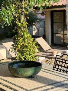 Haus PETIT REVE in Oppède