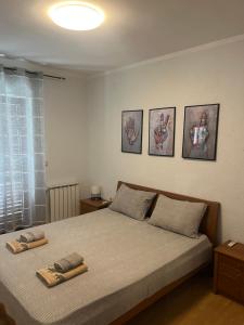Apartment Novigrad Centre