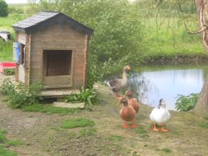 Les Mobile home de KERROYAL