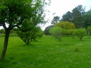 Les Mobile home de KERROYAL
