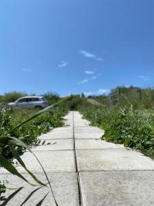 Tiny Shelter in Valea Fanatelor, Cluj Napoca