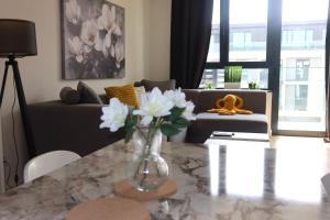 Beograd na vodi Lux apartman BW-Octopus