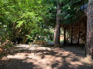 Appartements Le Chaumier : photos des chambres