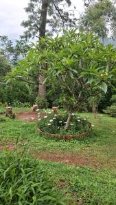 Escape Natural Farm stay - Loghouse