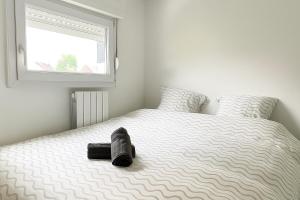 Appartements Maisonnette Villeneuve d Ascq : photos des chambres