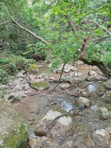 Atypical architect-designed house