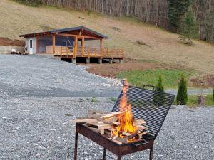 Pensiunea Izbucul Tauz