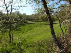 Casa Rural Dos Infantas Las Lilas