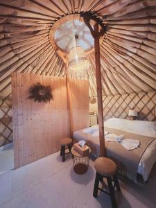 Glamping Iurte Mongole Spiritul Zimbrului