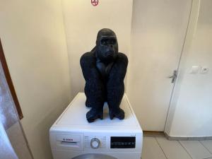 Appartements Grand T2 50m2 - 10min Paris Orly - Jacuzzi - Fan : photos des chambres