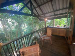 Singing Frogs Jungle Stay