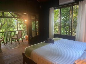 Singing Frogs Jungle Stay