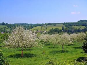 Maisons de vacances L-Aube - Maison pour 8 a Houlgate : photos des chambres