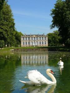 Maisons de vacances L-Aube - Maison pour 8 a Houlgate : photos des chambres