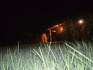 Ceyted Cottage, Polonnaruwa