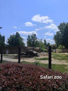 Glamping Niebiańska Osada Jurty Dolnośląskie & SPA