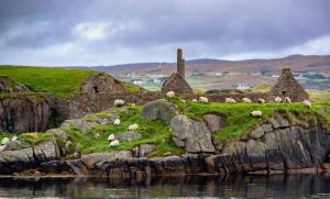 Cosy home by the sea