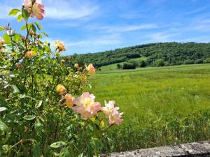Maisons de vacances Les violettes du Bugey : photos des chambres