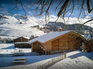 Chalets Chalet Happysnow - OVO Network : photos des chambres