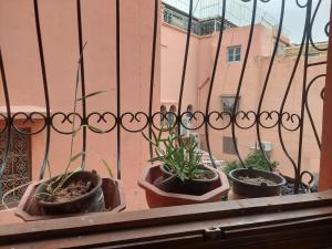 Your Marrakech escape