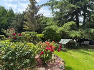 Appartements Le Chaumier : photos des chambres