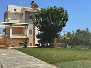 Plagia Oasis Escape