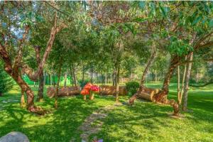 Harmony Suites Grand Resort 16