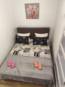 Apartman Aleksije