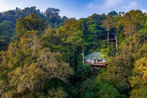 Chembarathi Wayanad Boutique Resort