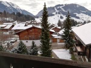 Central Location Cozy 3 BR Flat in Gstaad