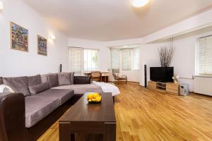 Spacious 2BR Apt Kremena 10 minutes walk to Center