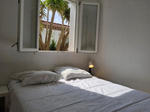 Appartements Le barracuda du port : photos des chambres