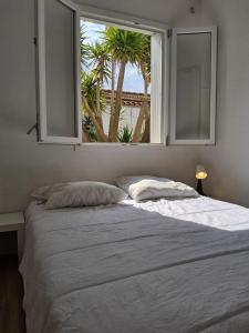 Appartements Le barracuda du port : photos des chambres