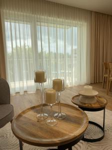 Apartament nad Wisłą, 54 m2 , klimatyzacja, bezpłatny parking