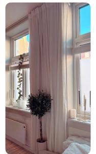 Cozy apartment in the heart of Oslo