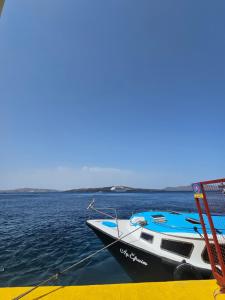 Appartements La Dorade du port : Appartement 1 Chambre