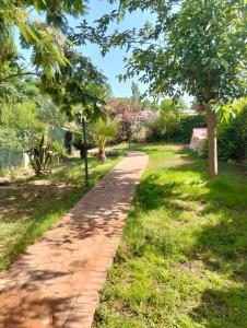 El Madroño de la Encantada