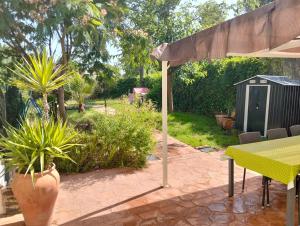 El Madroño de la Encantada