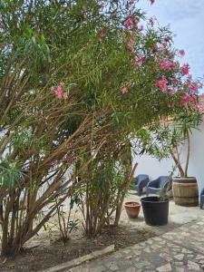 Appartements L-anguille du port : photos des chambres