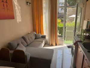 Центр солнечного берега