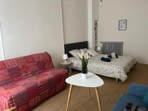 Appartements La Villa Louana charme de l'ancien en coeur de ville : photos des chambres